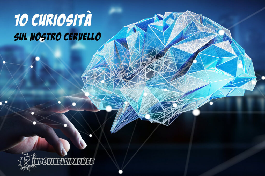 10 curiosità sul nostro cervello