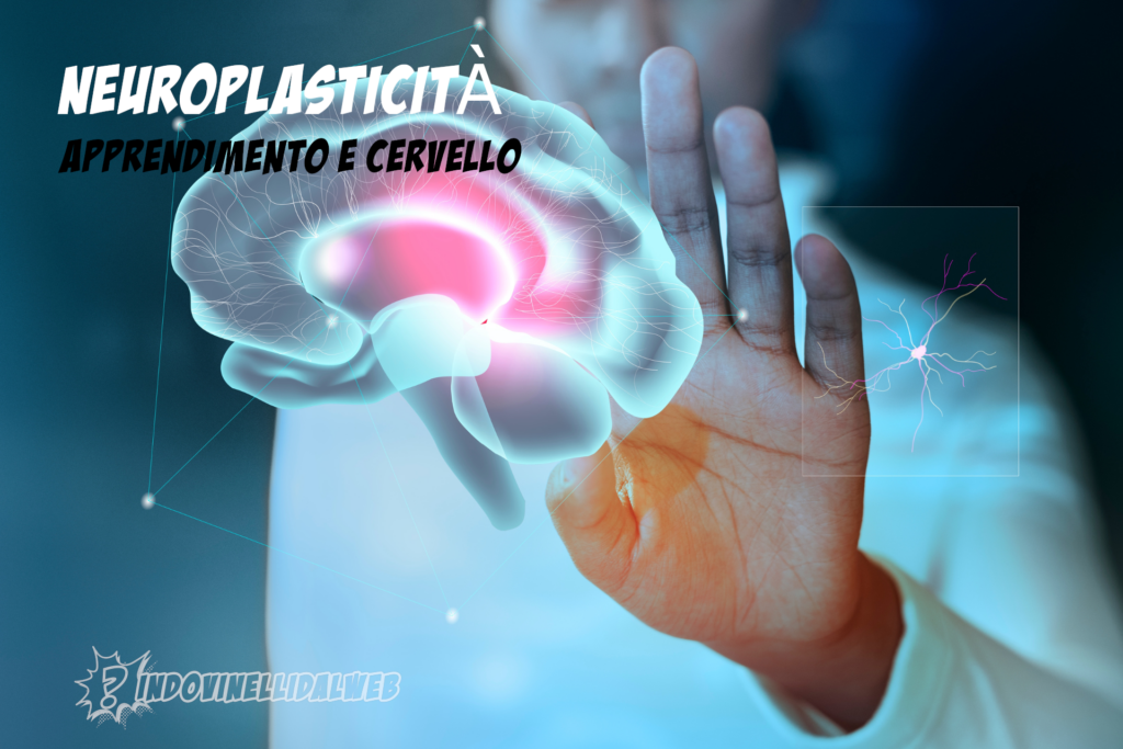 apprendimento e cervello | indovinelli dal web