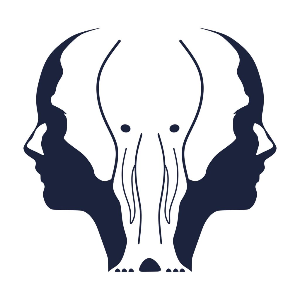 illusione ottica - elefante o volti