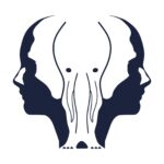 illusione ottica - elefante o volti