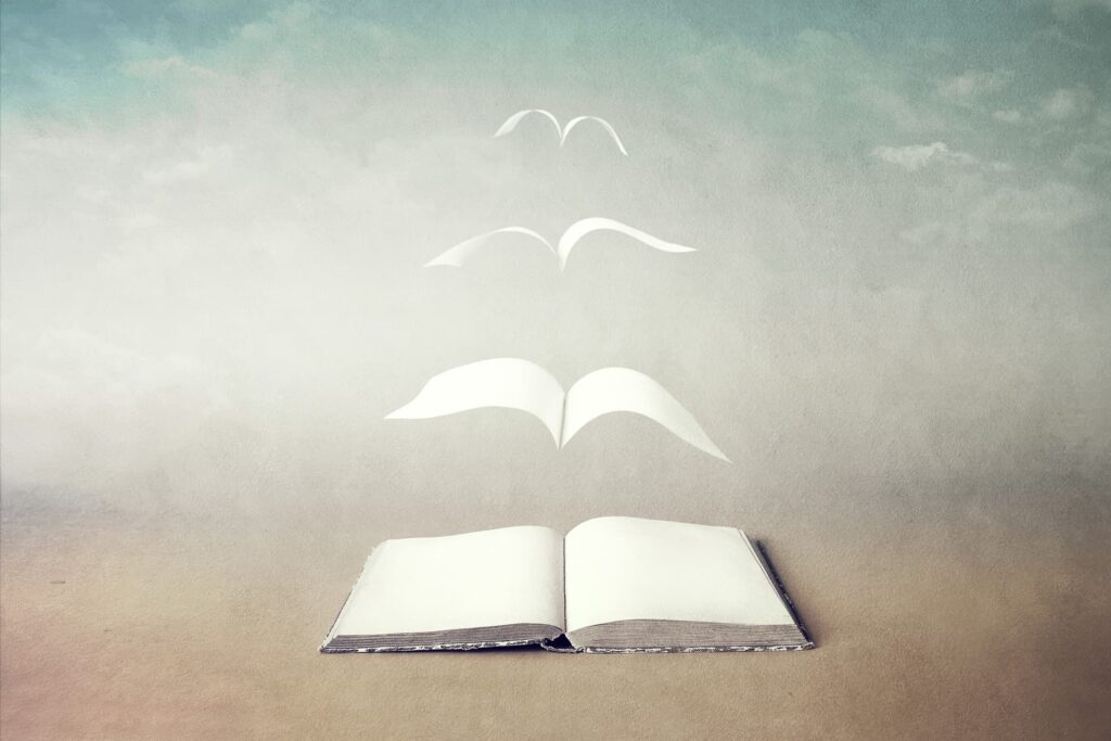 illusione ottica - pagine libro
